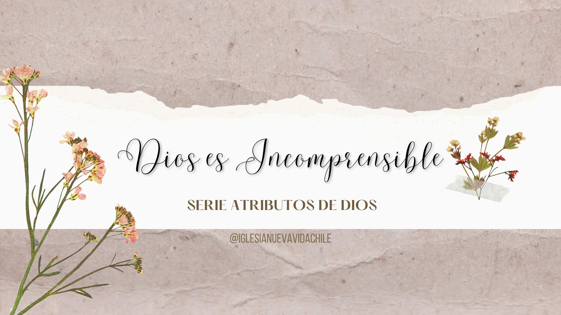 DIOS ES INCOMPRENSIBLE – DEVOCIONAL