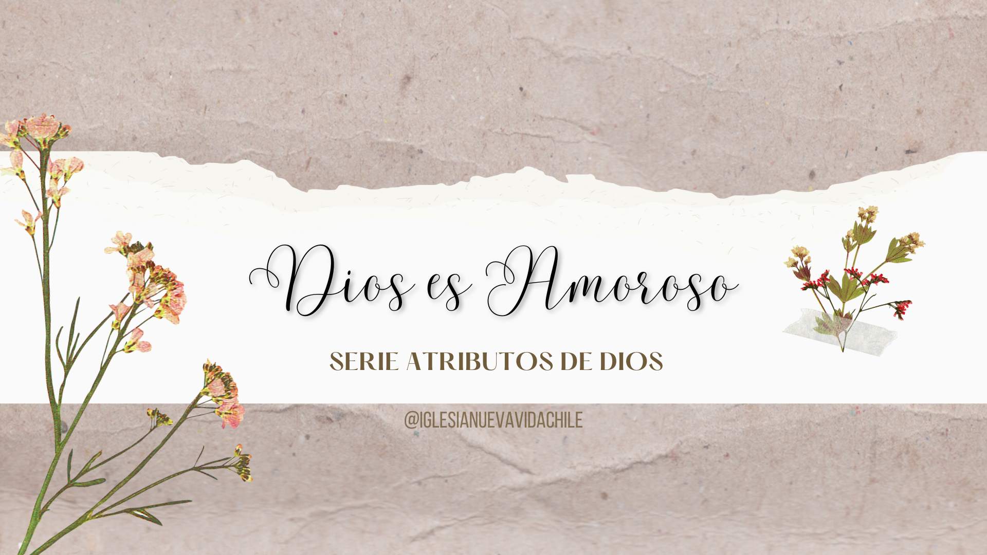 DIOS ES AMOROSO – DEVOCIONAL
