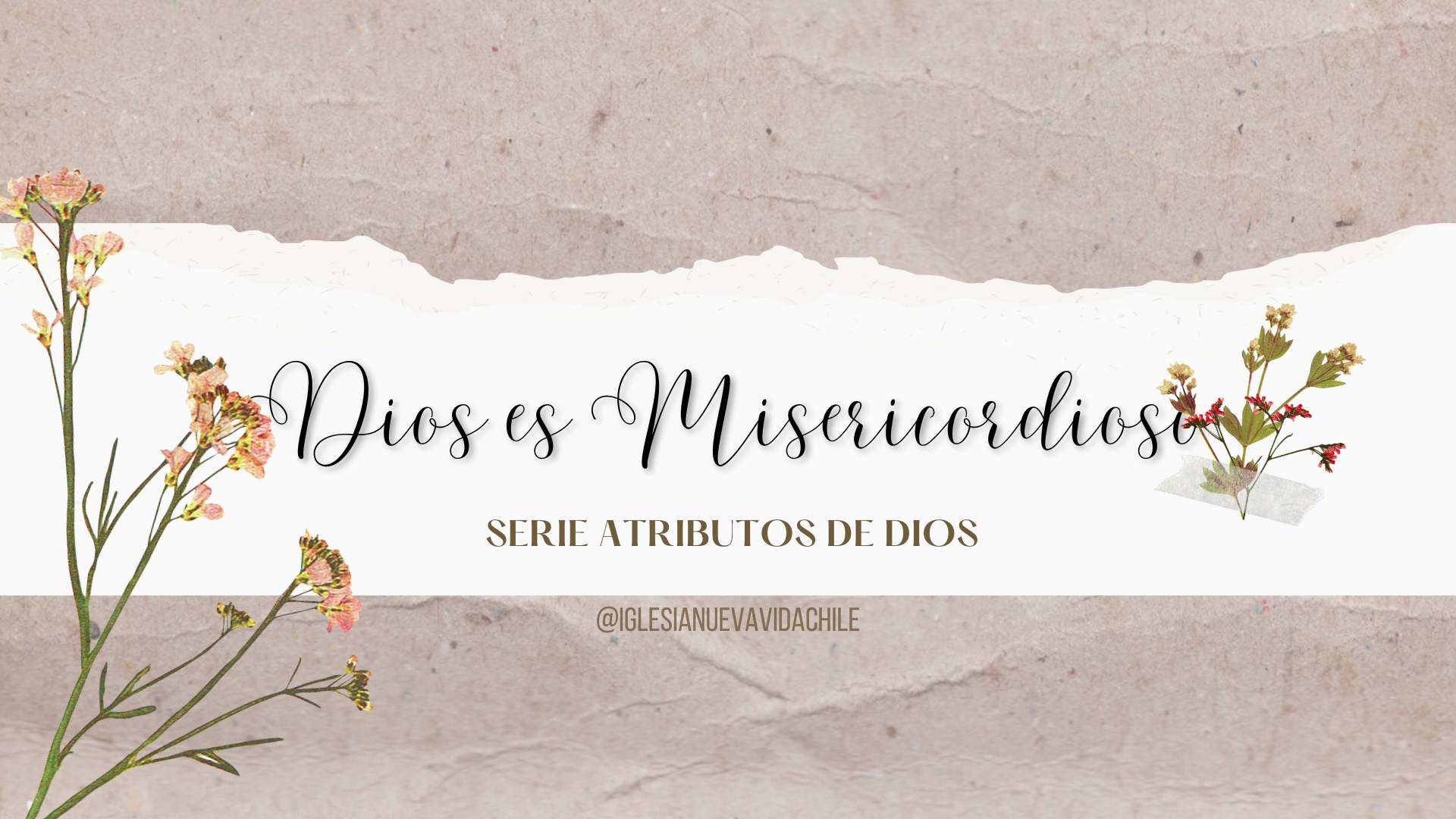 DIOS ES MISERICORDIOSO – DEVOCIONAL