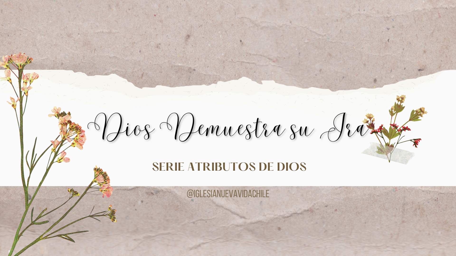 DIOS DEMUESTRA IRA – DEVOCIONAL