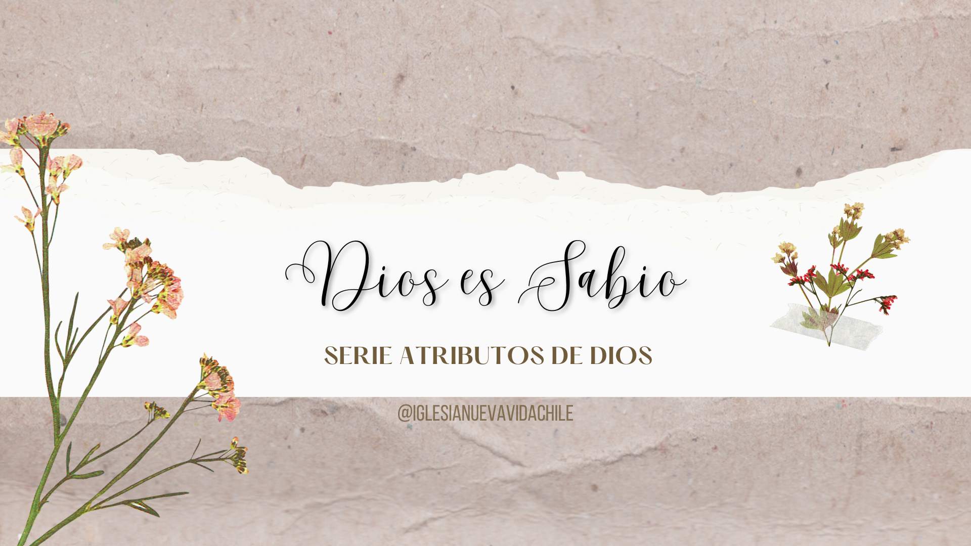 DIOS ES SABIO – DEVOCIONAL